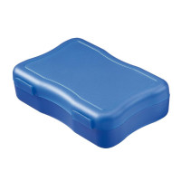 standaard blauw PP